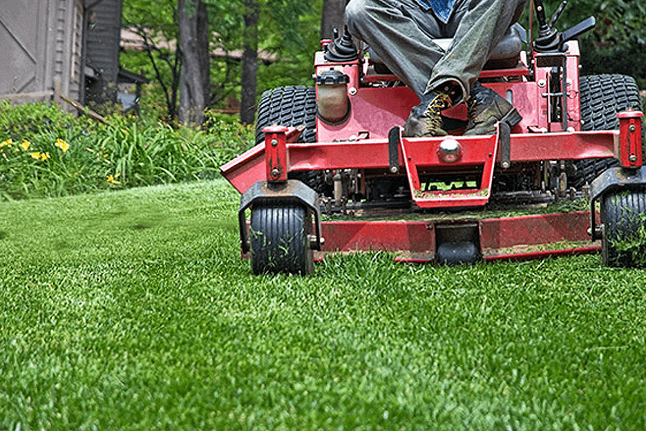 What Is a Fair Hourly Rate for Lawn Care, and Are You Getting Ripped